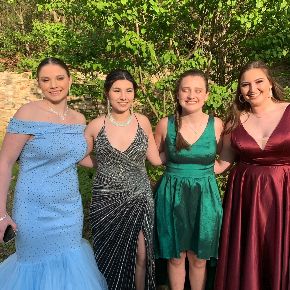 Prom Dress - Picture 3 of 4